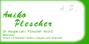 aniko plescher business card